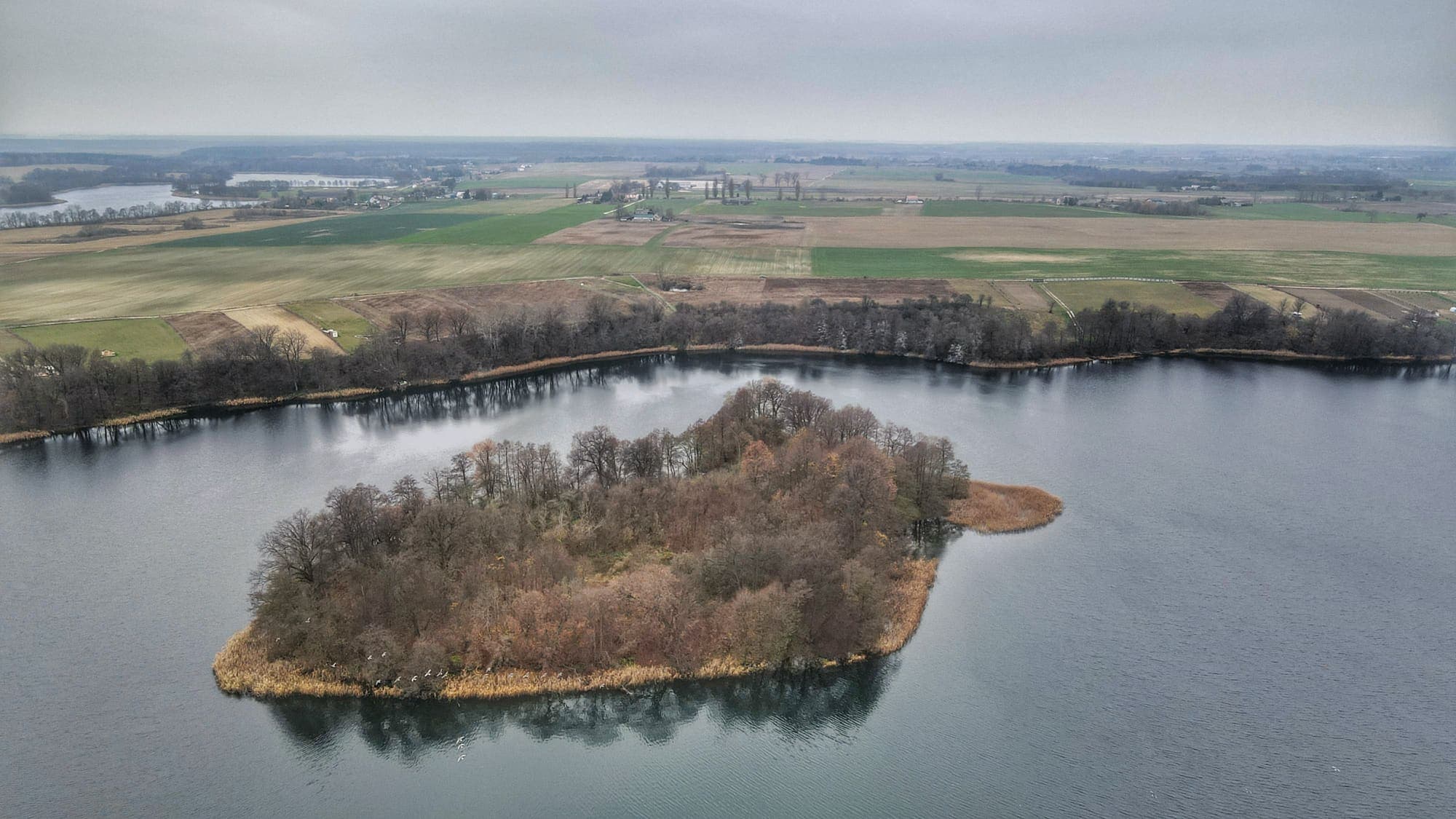 Linia brzegowa – jezioro Ostrowickie